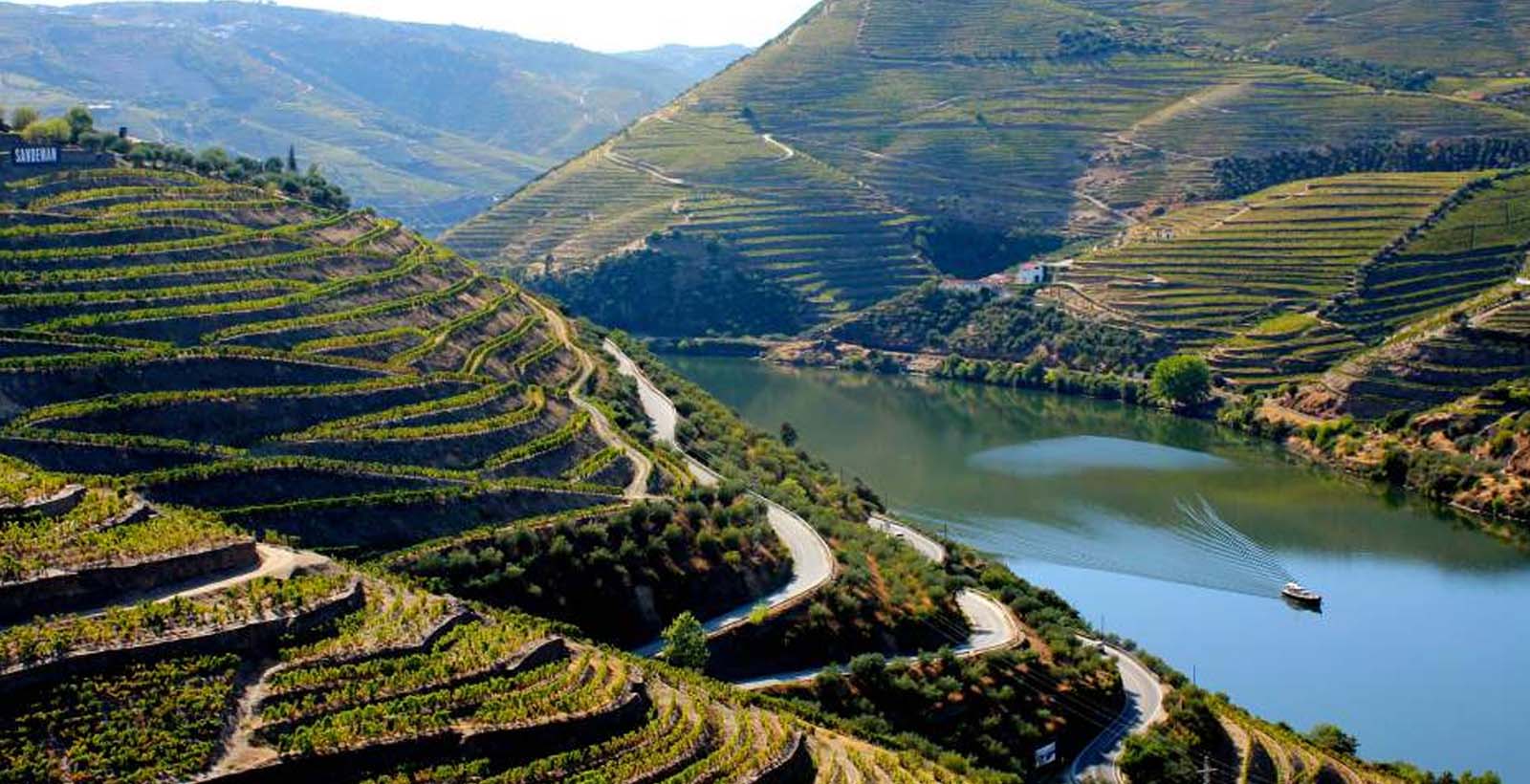 Douro-laakson viininkorjuu- ja kulttuurimatka