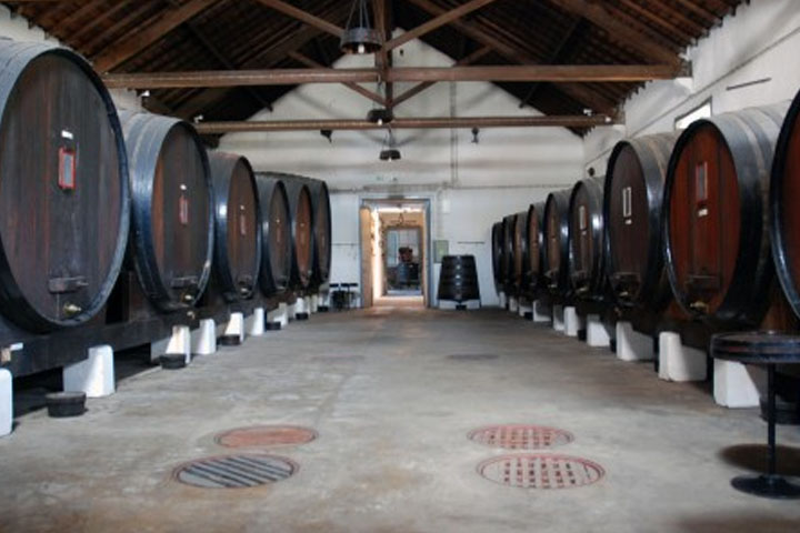 Az alcobaçai bormúzeum