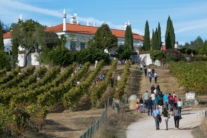 Monte da Ravasqueira - Herdade